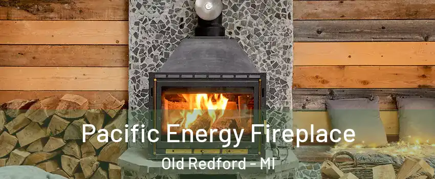 Pacific Energy Fireplace Old Redford - MI