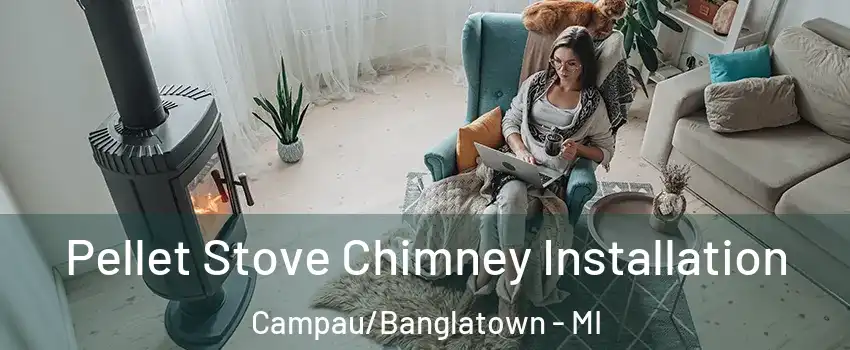 Pellet Stove Chimney Installation Campau/Banglatown - MI