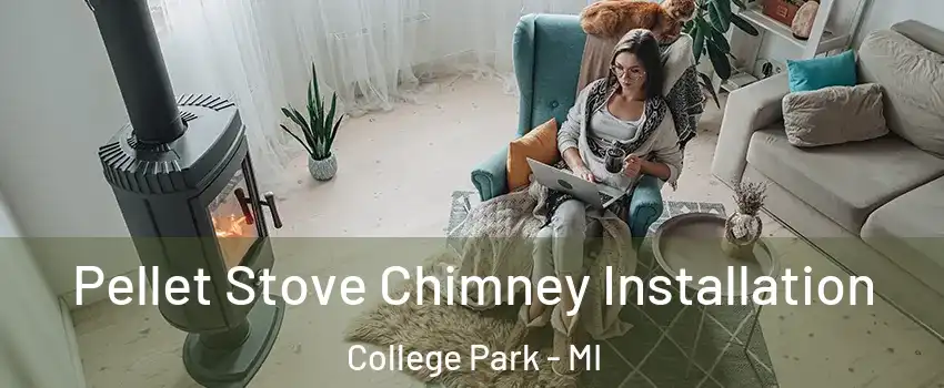 Pellet Stove Chimney Installation College Park - MI