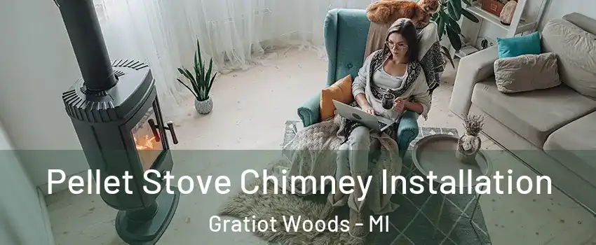 Pellet Stove Chimney Installation Gratiot Woods - MI