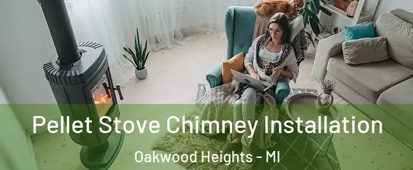 Pellet Stove Chimney Installation Oakwood Heights - MI