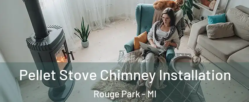 Pellet Stove Chimney Installation Rouge Park - MI