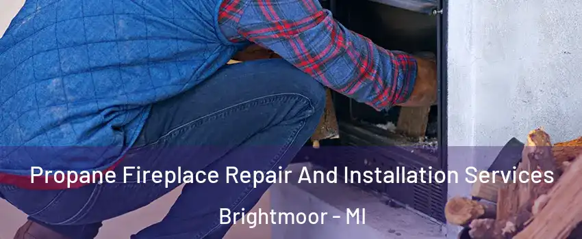 Propane Fireplace Repair And Installation Services Brightmoor - MI