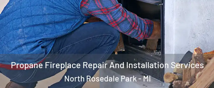 Propane Fireplace Repair And Installation Services North Rosedale Park - MI