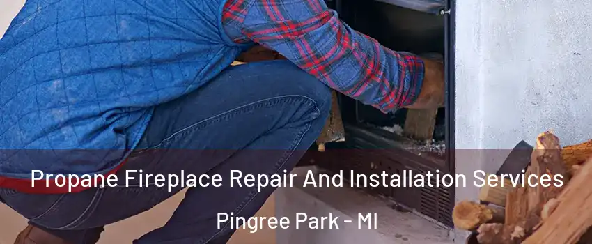 Propane Fireplace Repair And Installation Services Pingree Park - MI