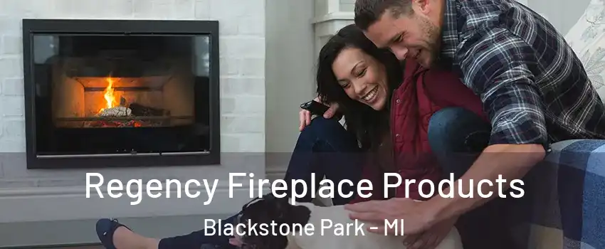 Regency Fireplace Products Blackstone Park - MI