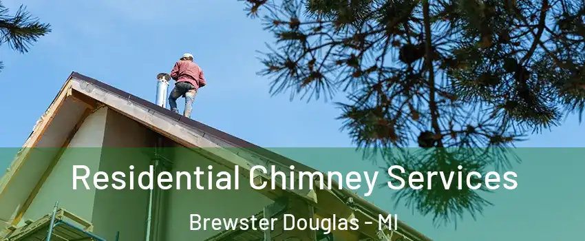 Residential Chimney Services Brewster Douglas - MI