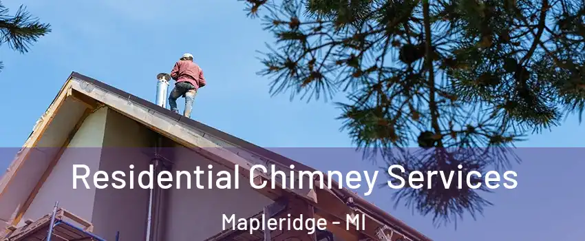 Residential Chimney Services Mapleridge - MI