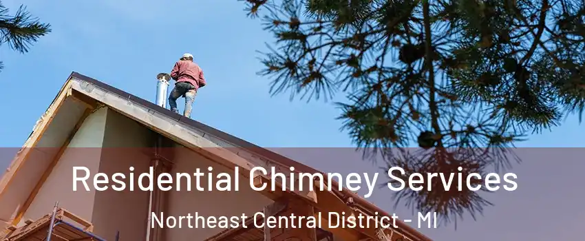 Residential Chimney Services Northeast Central District - MI