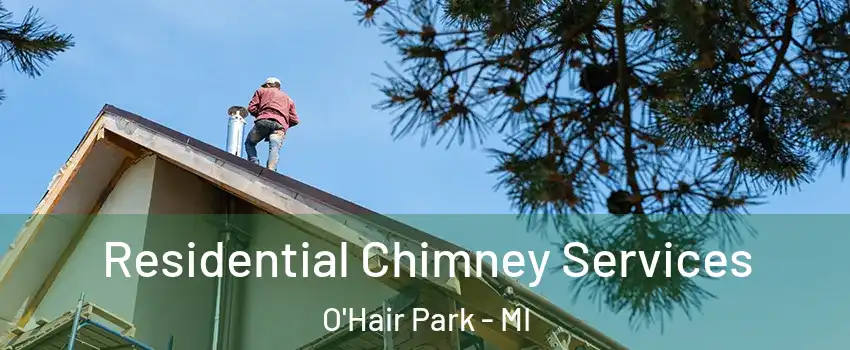 Residential Chimney Services O'Hair Park - MI