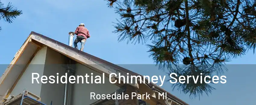 Residential Chimney Services Rosedale Park - MI