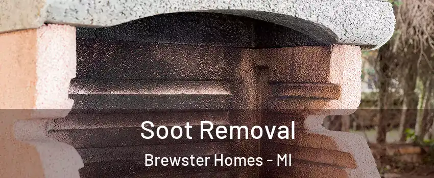 Soot Removal Brewster Homes - MI