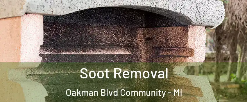 Soot Removal Oakman Blvd Community - MI