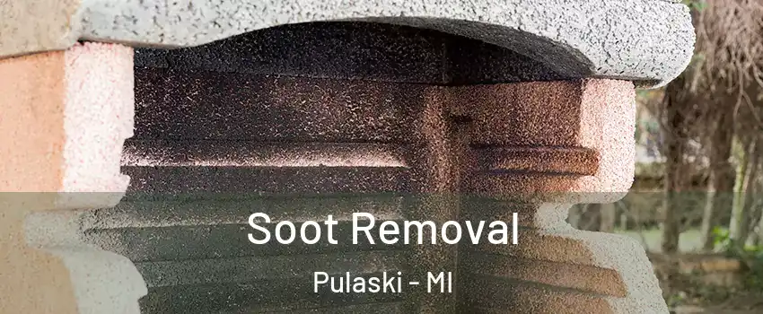 Soot Removal Pulaski - MI