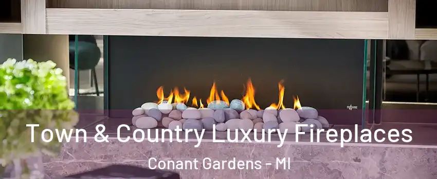 Town & Country Luxury Fireplaces Conant Gardens - MI