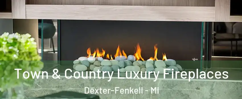 Town & Country Luxury Fireplaces Dexter-Fenkell - MI