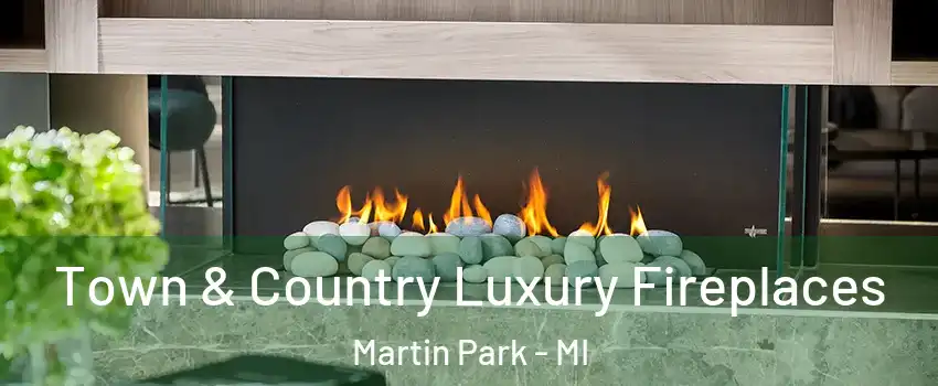 Town & Country Luxury Fireplaces Martin Park - MI