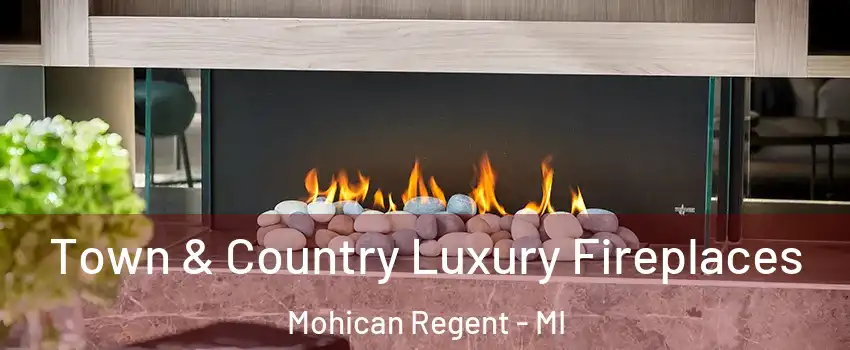 Town & Country Luxury Fireplaces Mohican Regent - MI