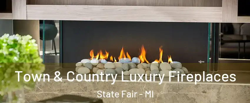 Town & Country Luxury Fireplaces State Fair - MI