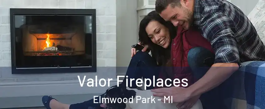 Valor Fireplaces Elmwood Park - MI