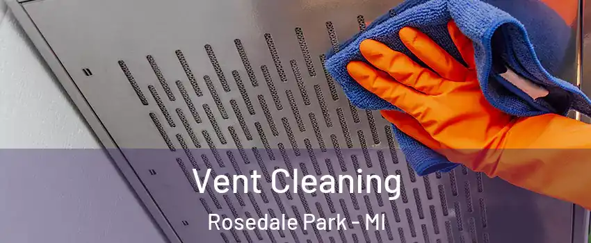 Vent Cleaning Rosedale Park - MI