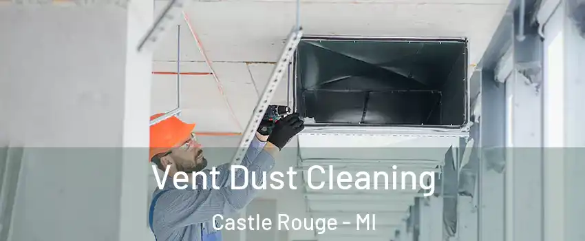 Vent Dust Cleaning Castle Rouge - MI