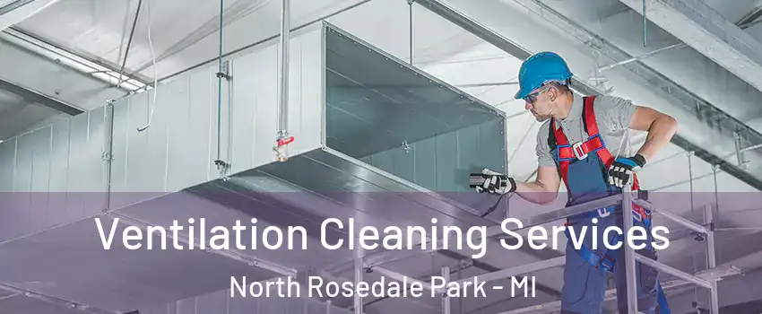 Ventilation Cleaning Services North Rosedale Park - MI