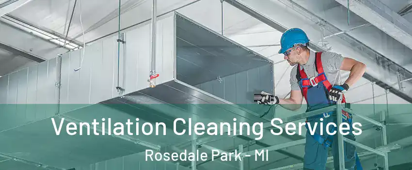 Ventilation Cleaning Services Rosedale Park - MI