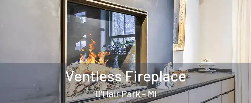 Ventless Fireplace O'Hair Park - MI