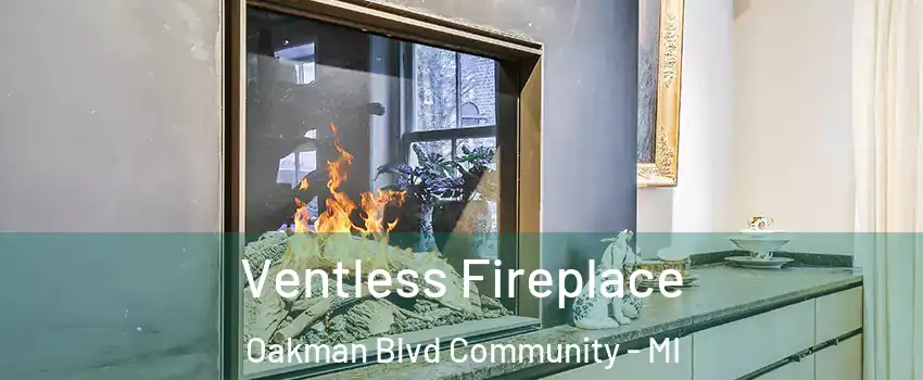 Ventless Fireplace Oakman Blvd Community - MI