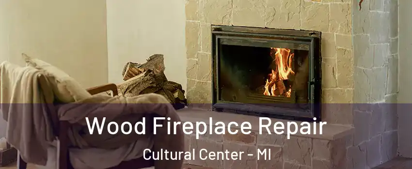 Wood Fireplace Repair Cultural Center - MI