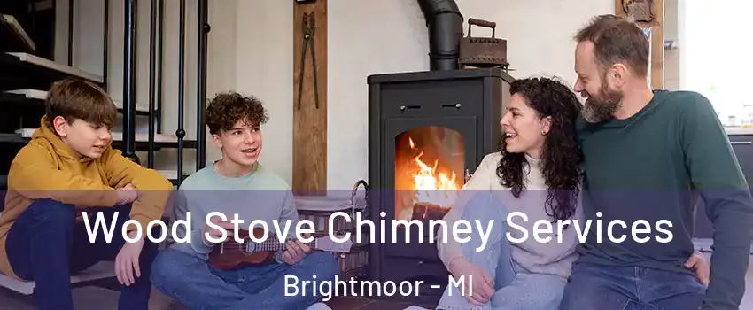 Wood Stove Chimney Services Brightmoor - MI