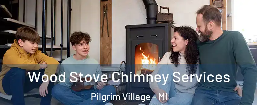 Wood Stove Chimney Services Pilgrim Village - MI