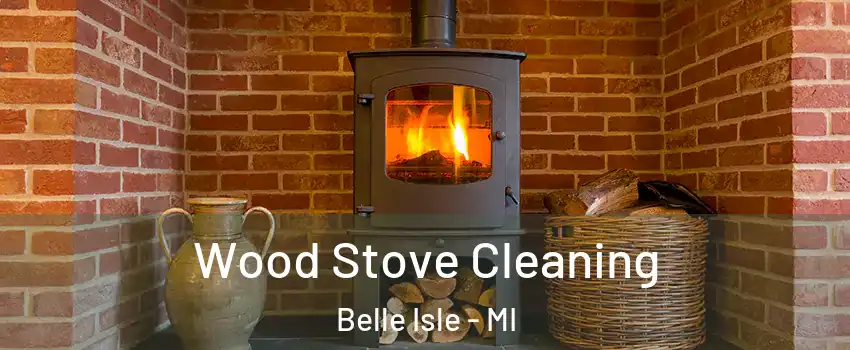 Wood Stove Cleaning Belle Isle - MI