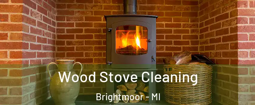 Wood Stove Cleaning Brightmoor - MI