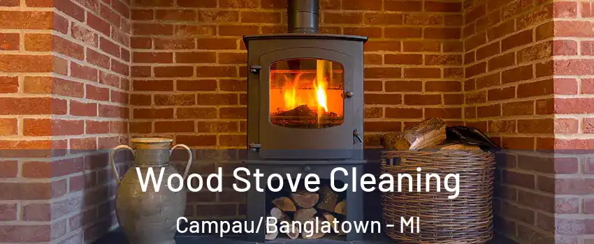 Wood Stove Cleaning Campau/Banglatown - MI