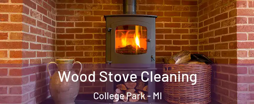 Wood Stove Cleaning College Park - MI