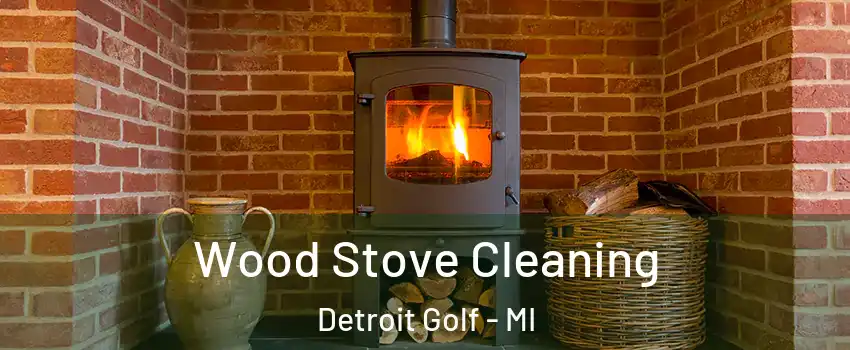 Wood Stove Cleaning Detroit Golf - MI