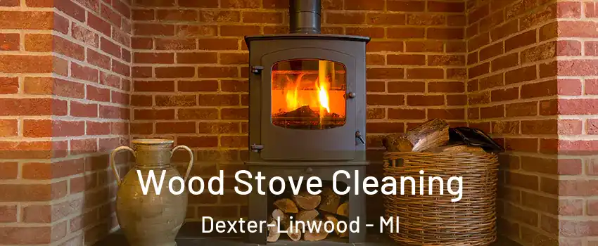 Wood Stove Cleaning Dexter-Linwood - MI