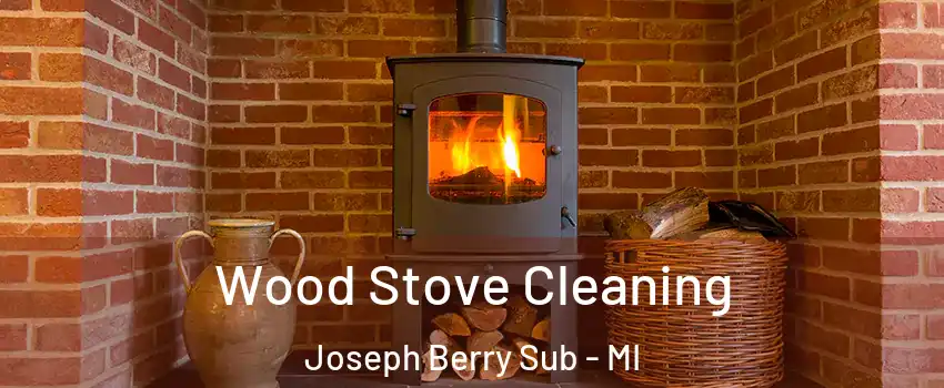 Wood Stove Cleaning Joseph Berry Sub - MI