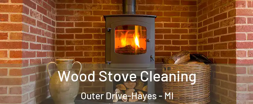 Wood Stove Cleaning Outer Drive-Hayes - MI