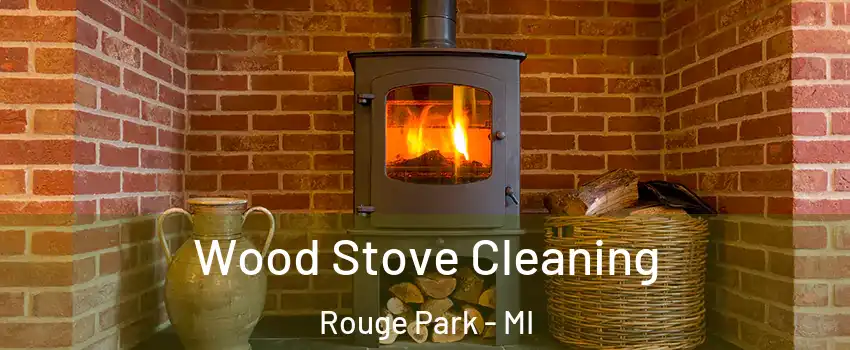 Wood Stove Cleaning Rouge Park - MI