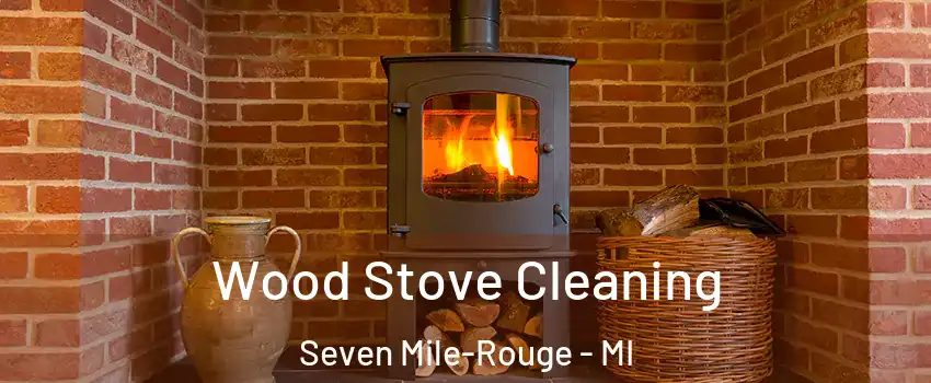 Wood Stove Cleaning Seven Mile-Rouge - MI