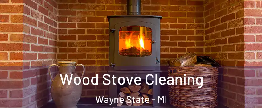 Wood Stove Cleaning Wayne State - MI