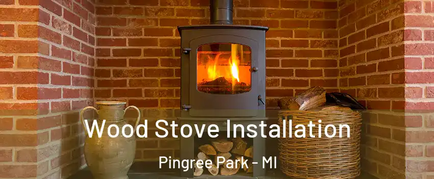 Wood Stove Installation Pingree Park - MI