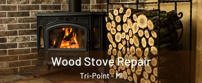 Wood Stove Repair Tri-Point - MI